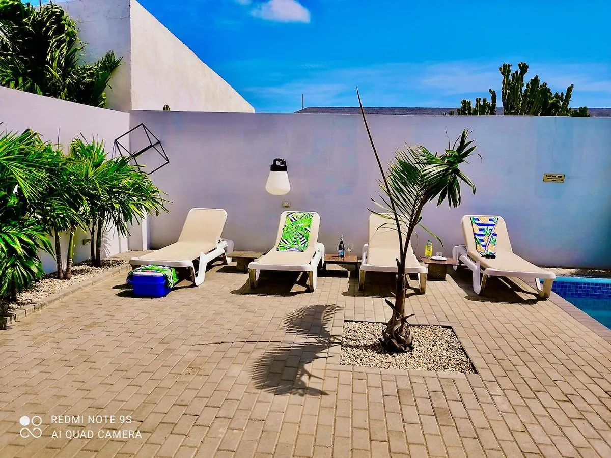 Apartment Studios 11And11Aruba Palm Beach