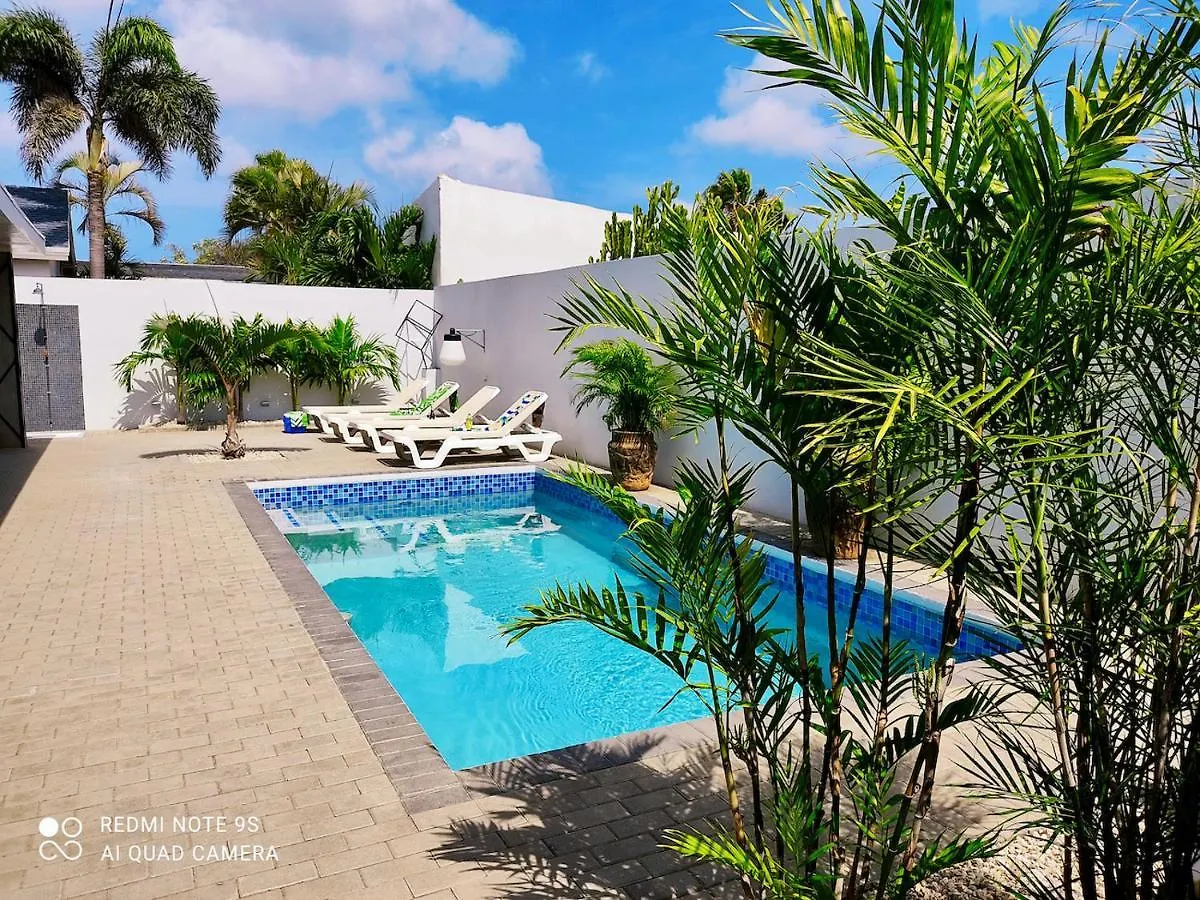 Studios 11And11Aruba Palm Beach Aruba
